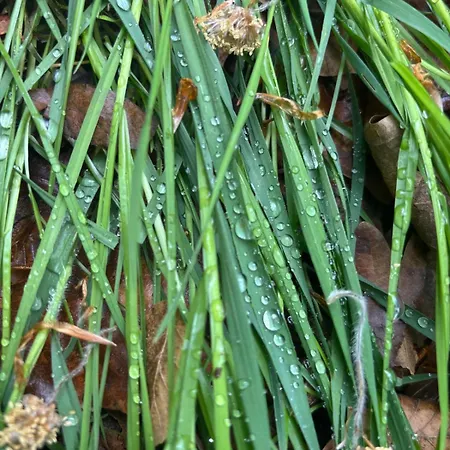 Zeitreise In Wohngefuehl Der 1980er-jahr * Strasburg