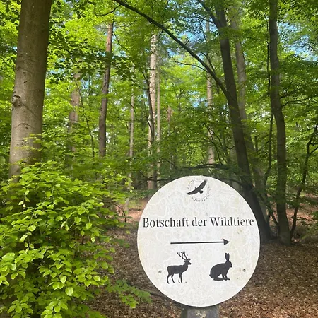 Zeitreise In Wohngefühl Der 1980er-jahr * Strasburg